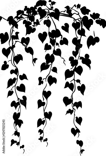 Hanging ivy vine silhouette border
