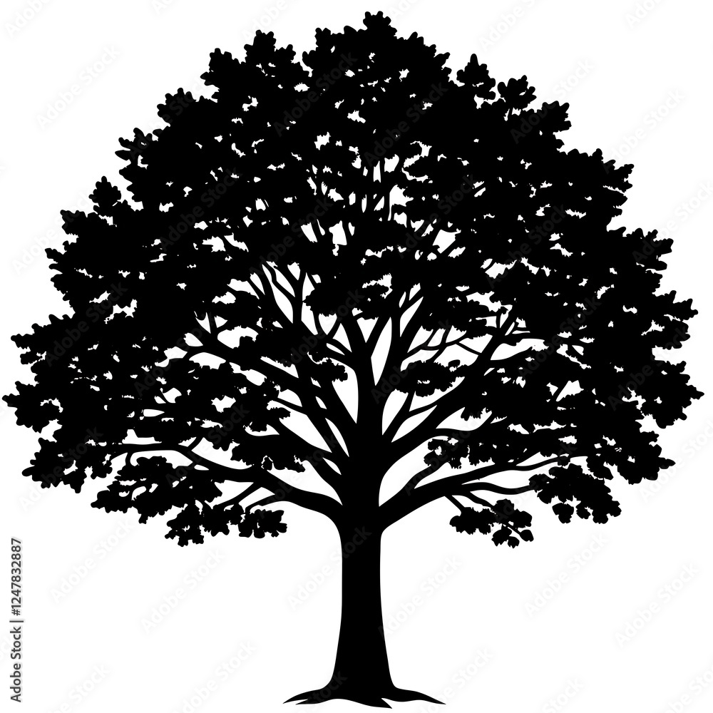 Obraz premium tree silhouette