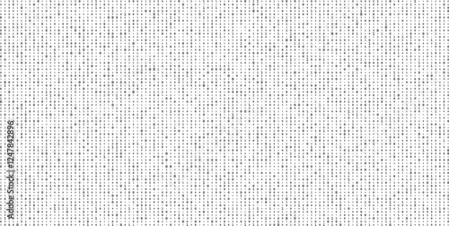 Binary code zero one abstract matrix white background with binary computer code.