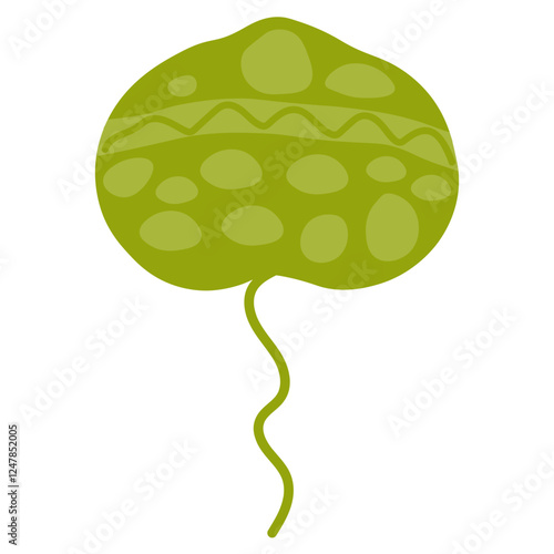 Karenia brevis dinoflagellates