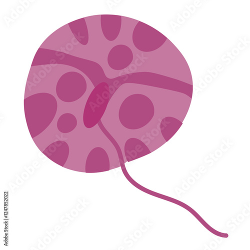 glenodinium dinoflagellates