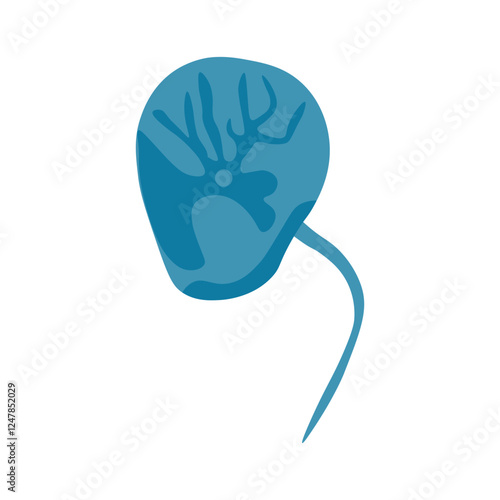 Noctiluca scintillans dinoflagellates