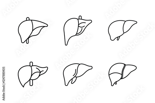 liver line art vector illustration 