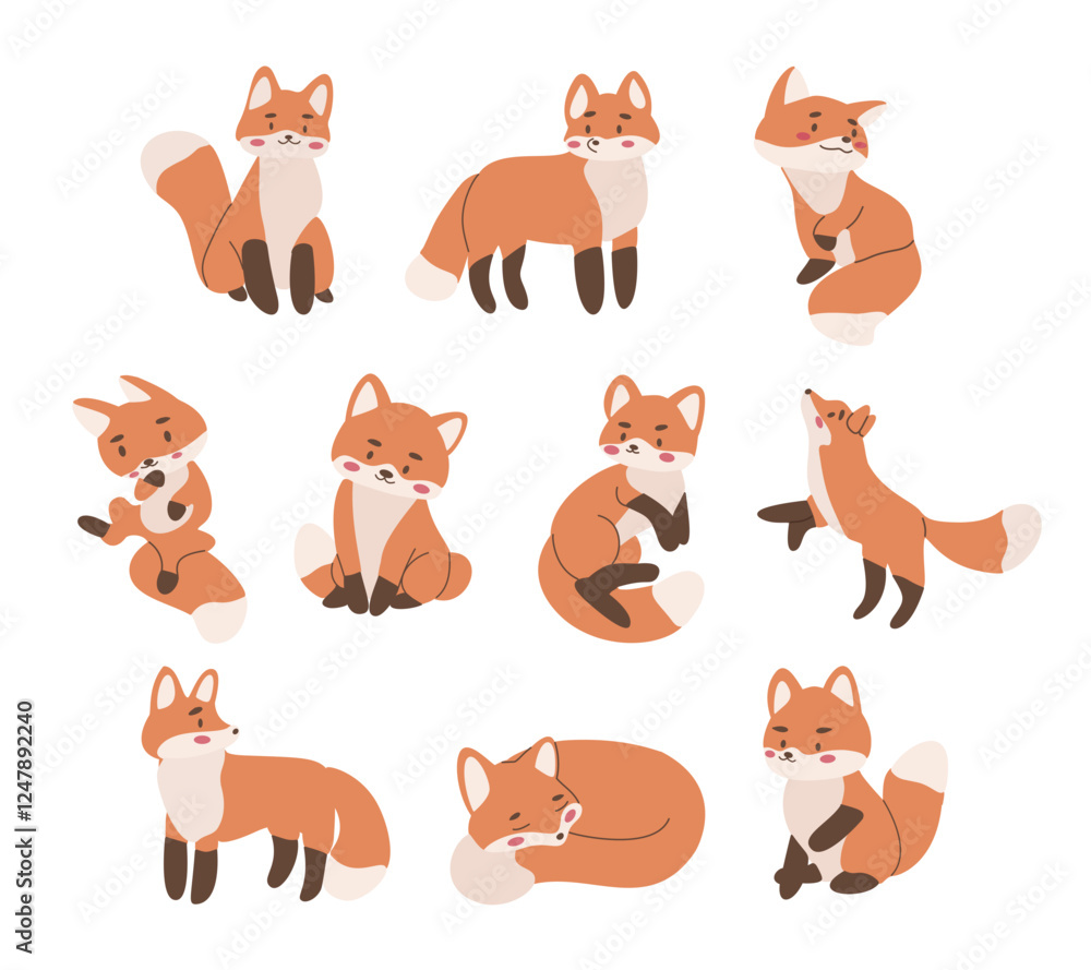 Fototapeta premium Little cute fox animal set