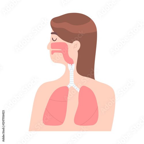 Woman with healthy lung isolated on white background. Cocnept of healthy lifestyle, internal organ, Respiratory sistem, anatomy, breathing, medical illustration flat vector style.