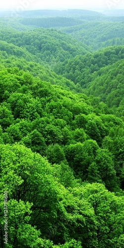 A lush, green landscape spreads across rolling hills, showcasing dense forests and vibrant foliage under a cloudy sky.