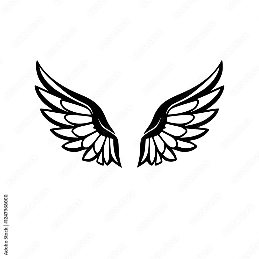 Fototapeta premium Angelic pair of wings, wings spread on a white background, black and white image