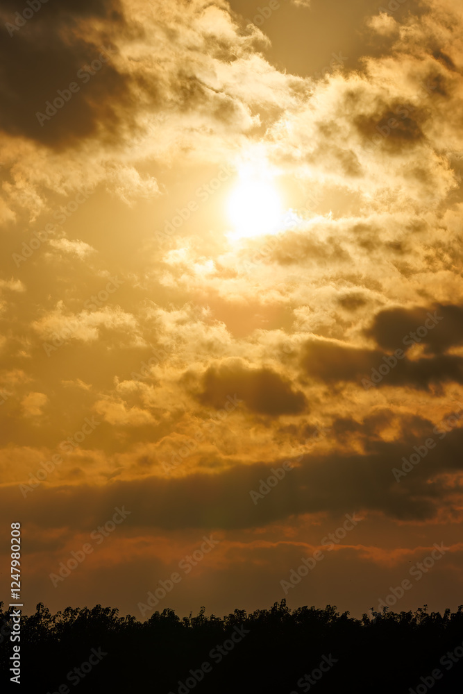 Fototapeta premium 夕暮れの広大な河川敷の日没。 埼玉県鴻巣市市荒川河川敷-2024 