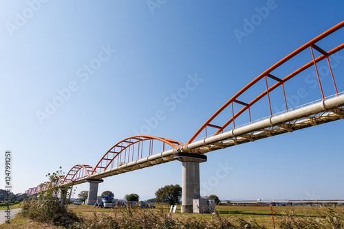 大芦橋と満開のコスモスが咲く、コスモスフェスティバル（コスモスアリーナふきあげ）
埼玉県鴻巣市-2024
