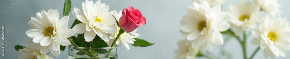 Single stem of rose lies among lush white chrysanthemum blooms in a clear glass vase filled with water, clear glass, flowers