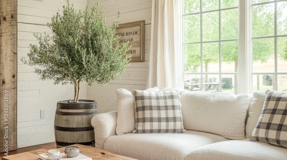 Naklejka premium Olive tree in a pot sits beside a white couch in a sunlit room.
