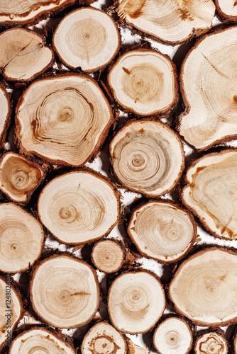 Natural background with Wooden tree trunk slices, close up woods with texture annual rings. Top view of cross section of juniper log, nature organic pattern. Sawed timber with tree rings