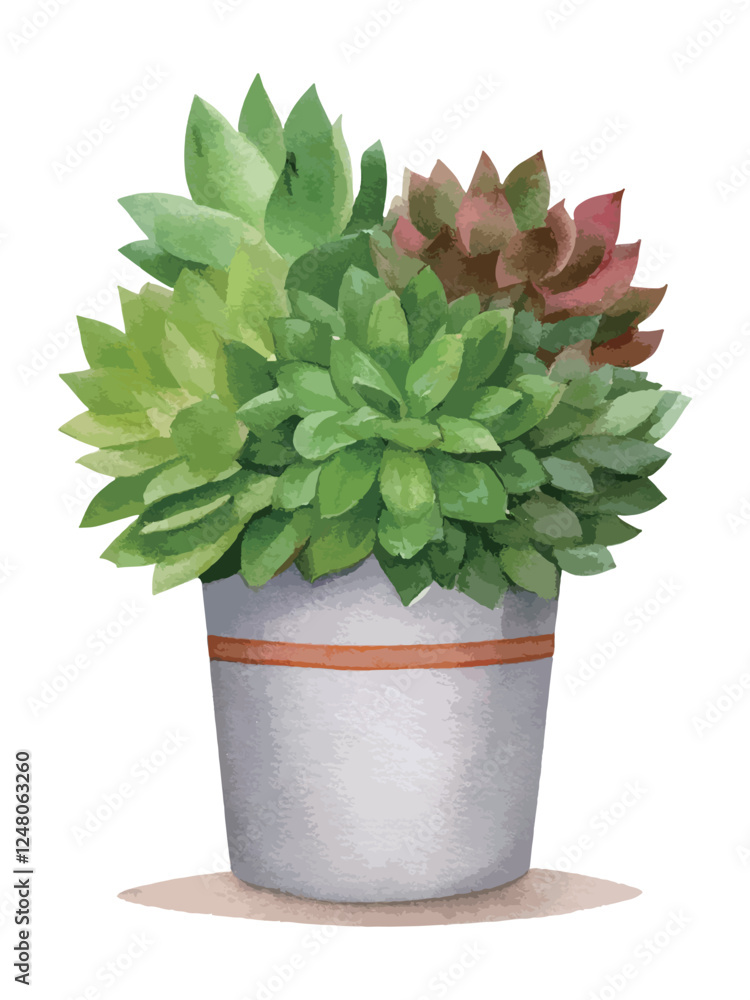 鉢に植えられた多肉植物の寄せ植え 水彩風イラスト 生成AI 鉢に植えられた多肉植物の寄せ植え 水彩風イラスト 生成AI