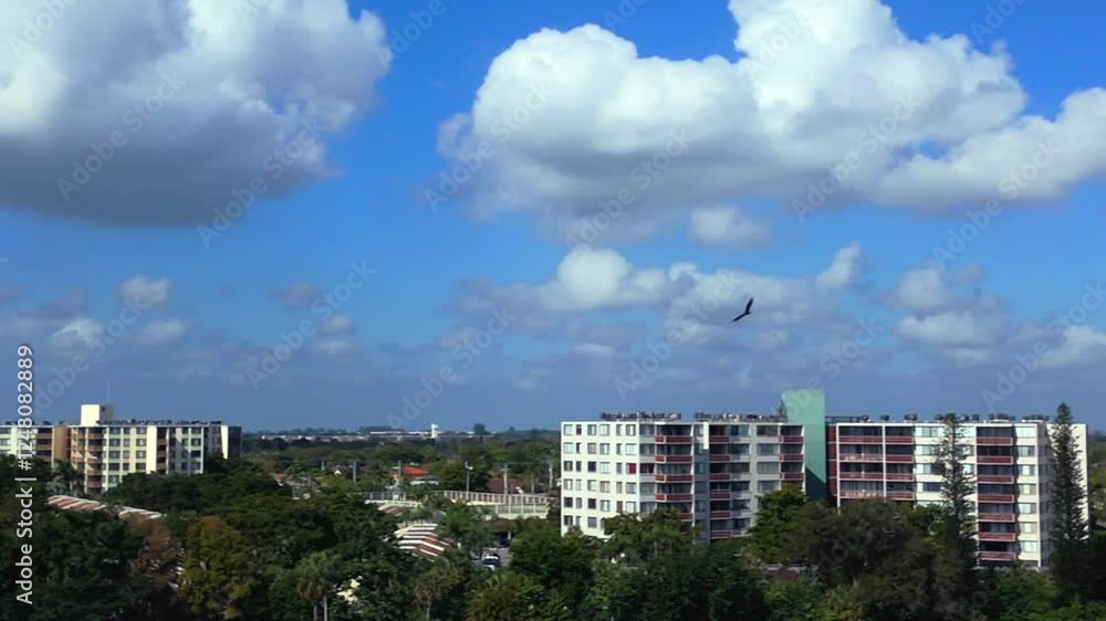 An aerial view of a large black bird soaring through the air on a sunny day with blue skies and white clouds in Fort Lauderdale, Florida. The camera dolly in, right and left tracking the bird. An aerial view of a large black bird soaring through the air on a sunny day with blue skies and white clouds in Fort Lauderdale, Florida. The camera dolly in, right and left tracking the bird.