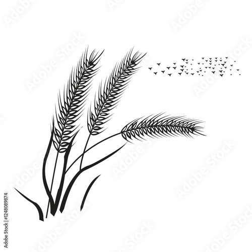 Wheat gain with flying birds in white background.