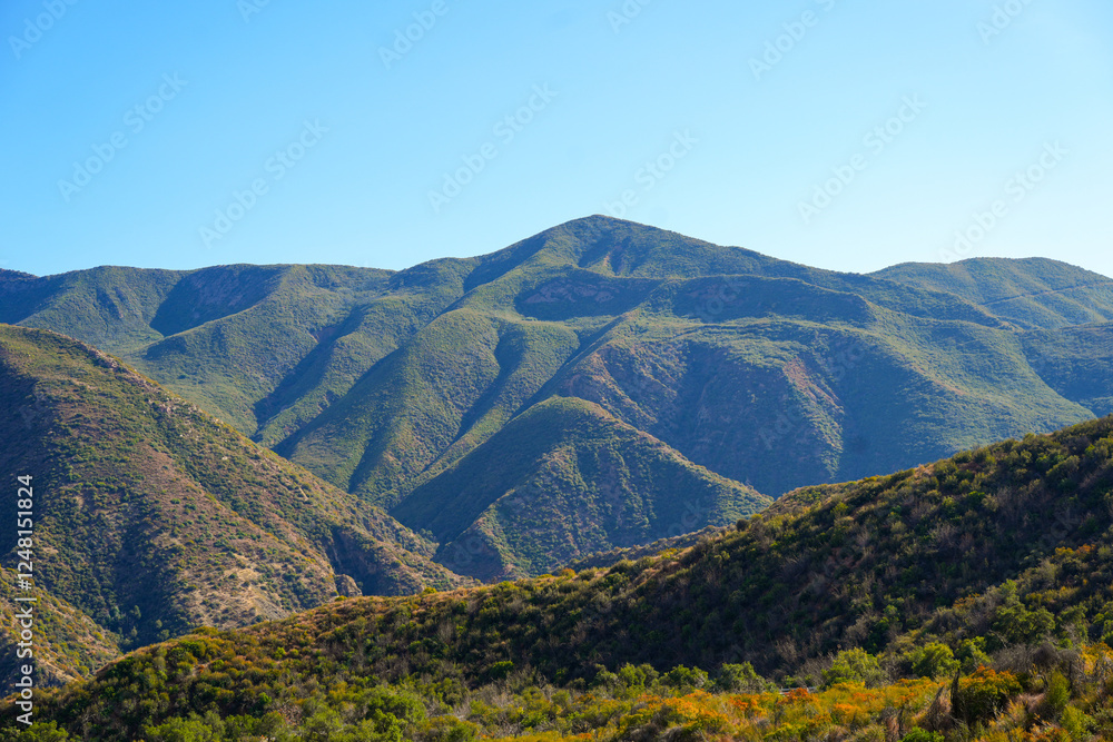 Fototapeta premium The one and only Ojai Valley