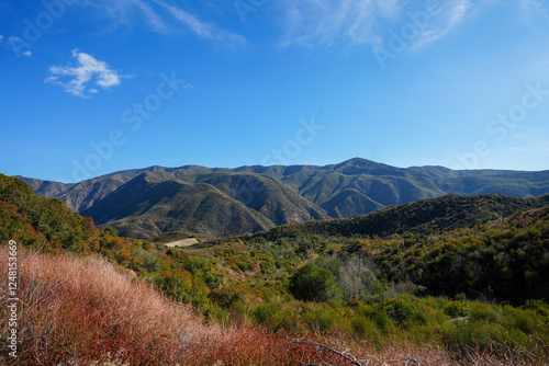 Los Padres National Forest in Ojai
