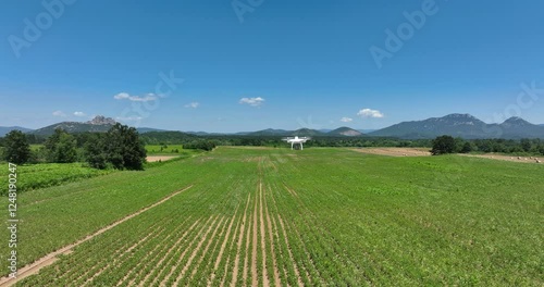 Agricultural drone performing mapping and monitoring with multispectral sensors in a survey of an agricultural landscape. photo