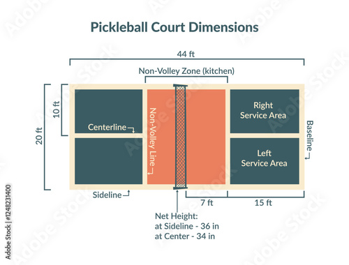 Pickleball court dimentions. Top view of the court with all dimensions and zone names. Vector flat illustration. 