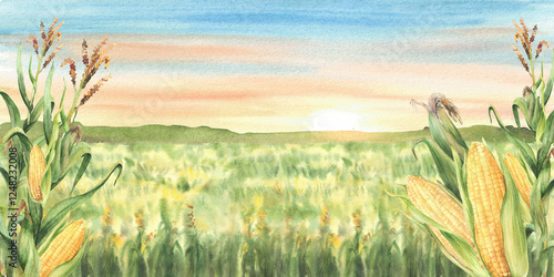 Field of corn banner. Watercolor landscape against sunset or sunrise sky. Farmers agricultural field with maize plant cobs, cereals. Farm nature view. Hand drawn illustration isolated from background