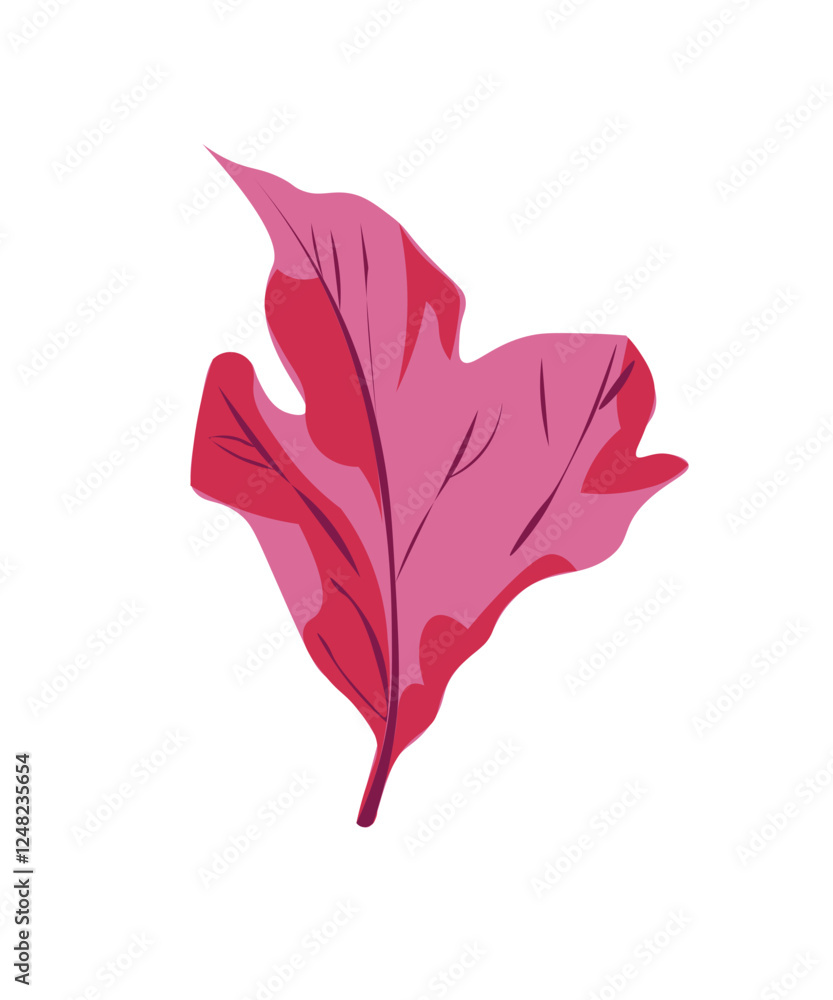 Obraz premium red maple leaf