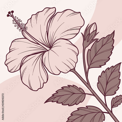 vector illustration of a flower