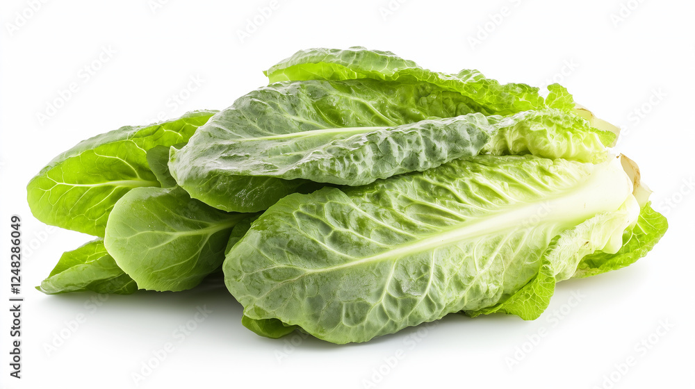 Romaine lettuce isolated on white background Romaine lettuce isolated on white background