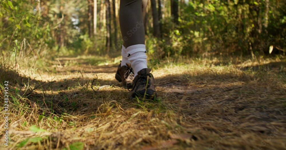 A woman walks through the forest, close-up of her legs, an unrecognizable person. Sunlight A woman walks through the forest, close-up of her legs, an unrecognizable person. Sunlight