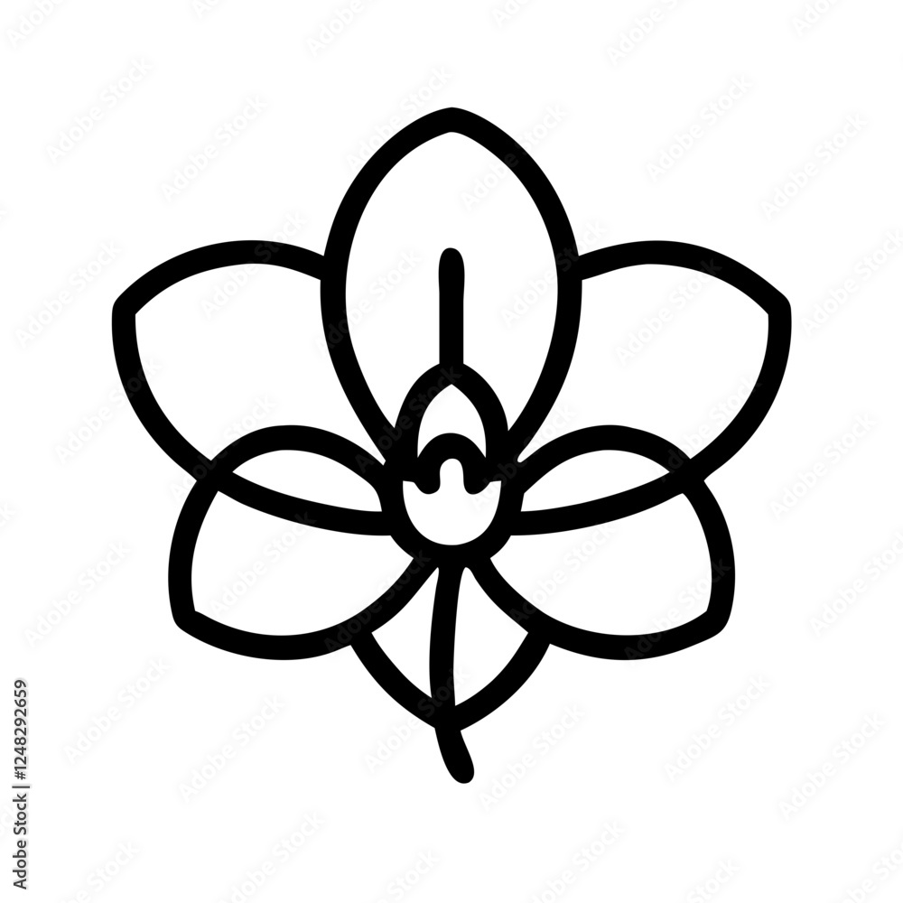 The most beautiful flowers in the world
The most beautiful flowers in the world