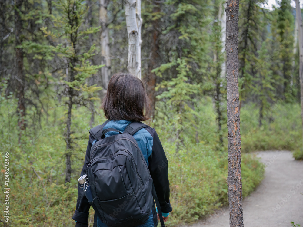 Woman walking in the forest at Denali National Park and Preserve. Alaska. USA.