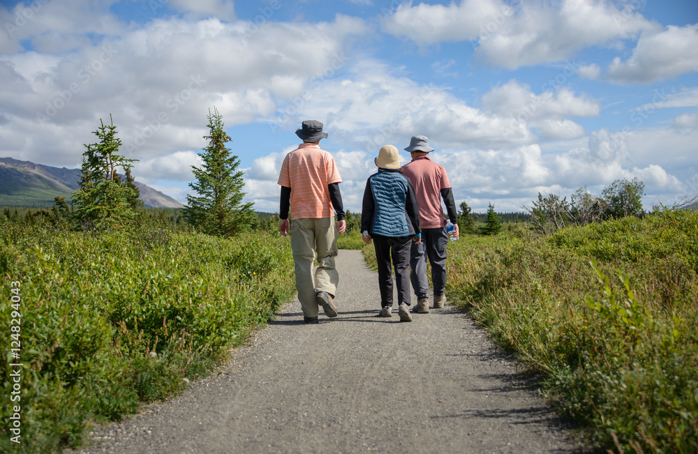 Three tourists walking at Denali National Park and Preserve. Alaska. USA.