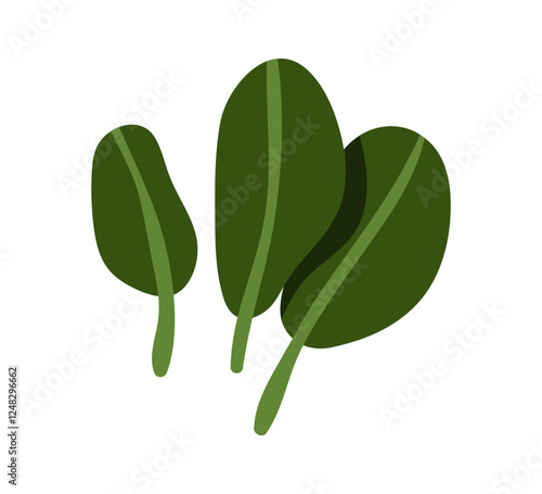 Spinach greens, fresh healthy leafy food. Natural leaf ingredient, seasoning, vitamin condiment. Organic nutrition, leaves for salads, cooking. Flat vector illustration isolated on white background