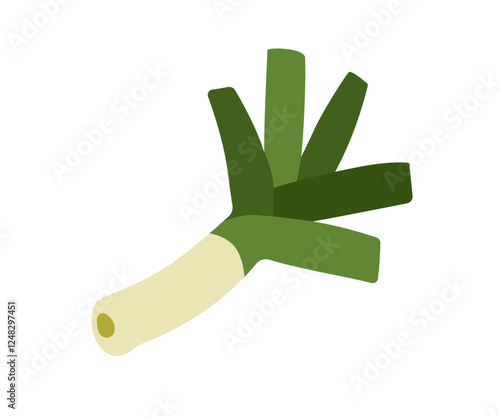 Leek vegetable, fresh natural vitamin food. Green stalk, leafy stem, Healthy ...