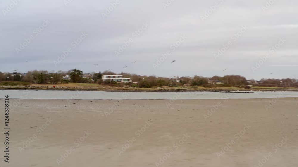 A serene beach under a gray sky with soft waves, calm and solitude in a natural setting, orbit around seagull flock, Rusheen Bay Galway Ireland