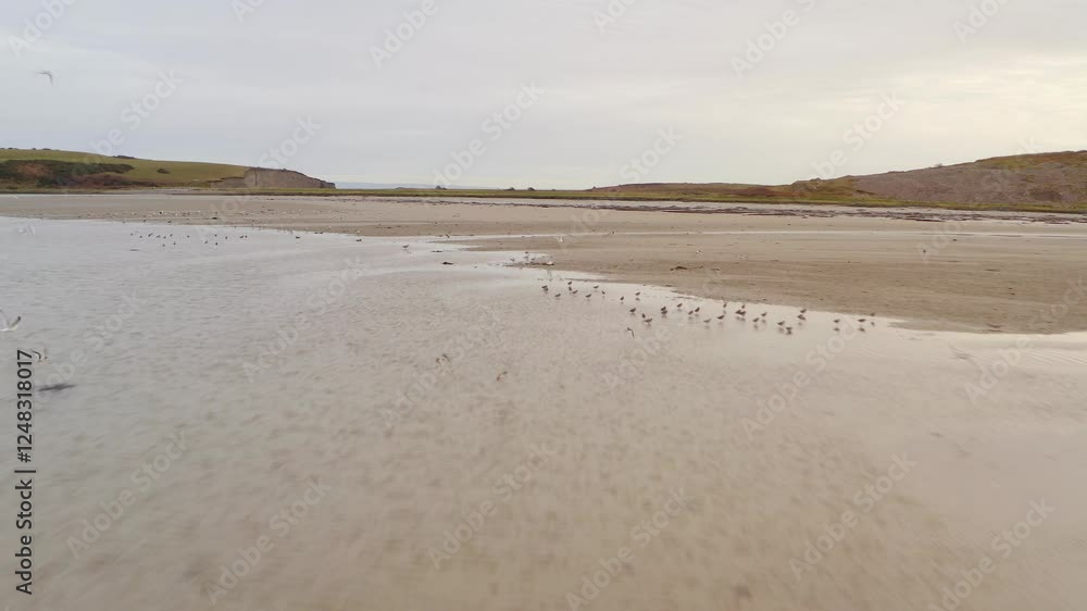 A wide sandy beach with waves and an overcast sky, the calmness of a seaside environment, smooth low aerial as flock of birds scatter at sunset, Rusheen Bay Galway Ireland A wide sandy beach with waves and an overcast sky, the calmness of a seaside environment, smooth low aerial as flock of birds scatter at sunset, Rusheen Bay Galway Ireland