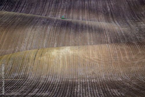 Rural rapeseed spring fields in South Moravia, Czech Republic.