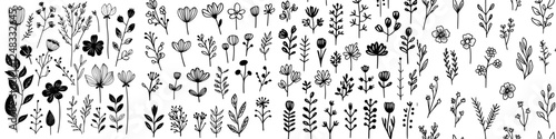 Beautiful collection of hand-drawn flowers and plants illustrated in black and white for artistic inspiration and design projects