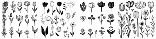 Collection of hand-drawn black and white flowers arranged in neat rows showcasing various species and plant designs