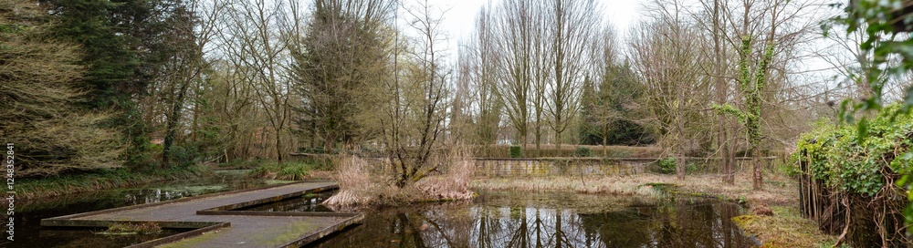 Tranquil nature pond with reflections surrounded by lush trees and wooden boardwalk in botanical landscape setting Tranquil nature pond with reflections surrounded by lush trees and wooden boardwalk in botanical landscape setting
