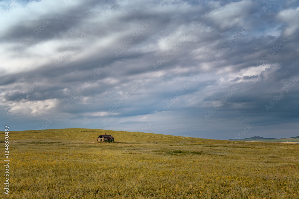 grassland with sunshine and blue sky in china grassland with sunshine and blue sky in china