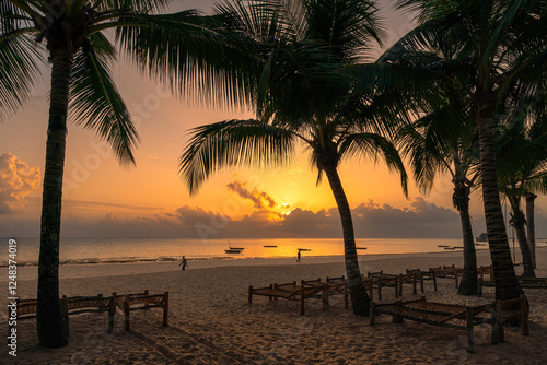 Fototapeta Naklejka Na Ścianę i Meble -  morning view of the beach under palm trees