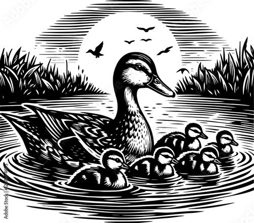 Duck Family in a Serene Pond: Black and White Nature Illustration. Duck Family's Swim: A Beautiful Illustration of Nature.