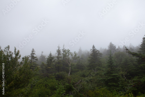 Wallpaper Mural 미국 메인주 자연경관 Torontodigital.ca