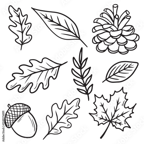Ink drawing set of forest leaves design. Maple, oak, birch, beech, hornbeam, ash tree leaves. Hand drawn vector sketch illustration in doodle engraved vintage line art style. Autumn fall, foliage