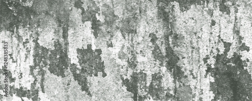 Wallpaper Mural Abstract gray old paint wall cement with grunge and Vintage paper Texture. Surface of old and dirty outdoor building wall. Grunge polished natural cement. Back flat stucco gray stone Design  Torontodigital.ca