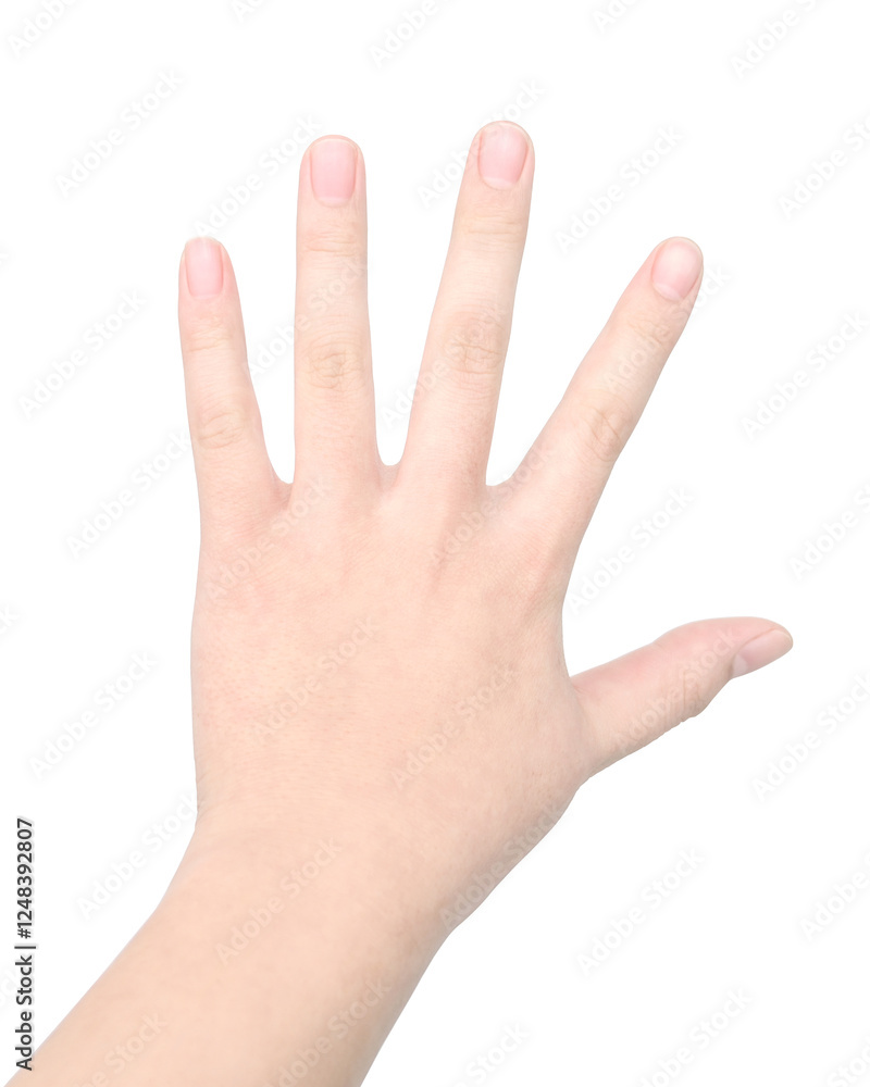hand isolated on white background hand isolated on white background