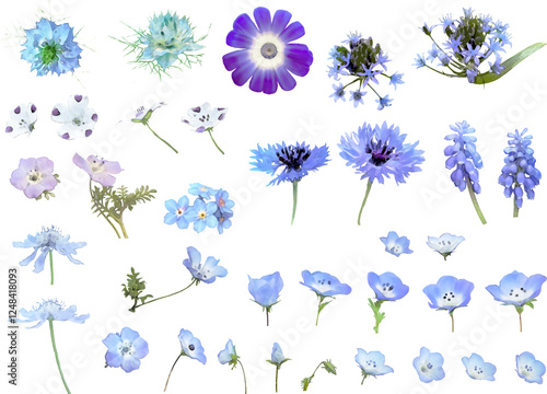 春の花のイラスト素材セット（青）