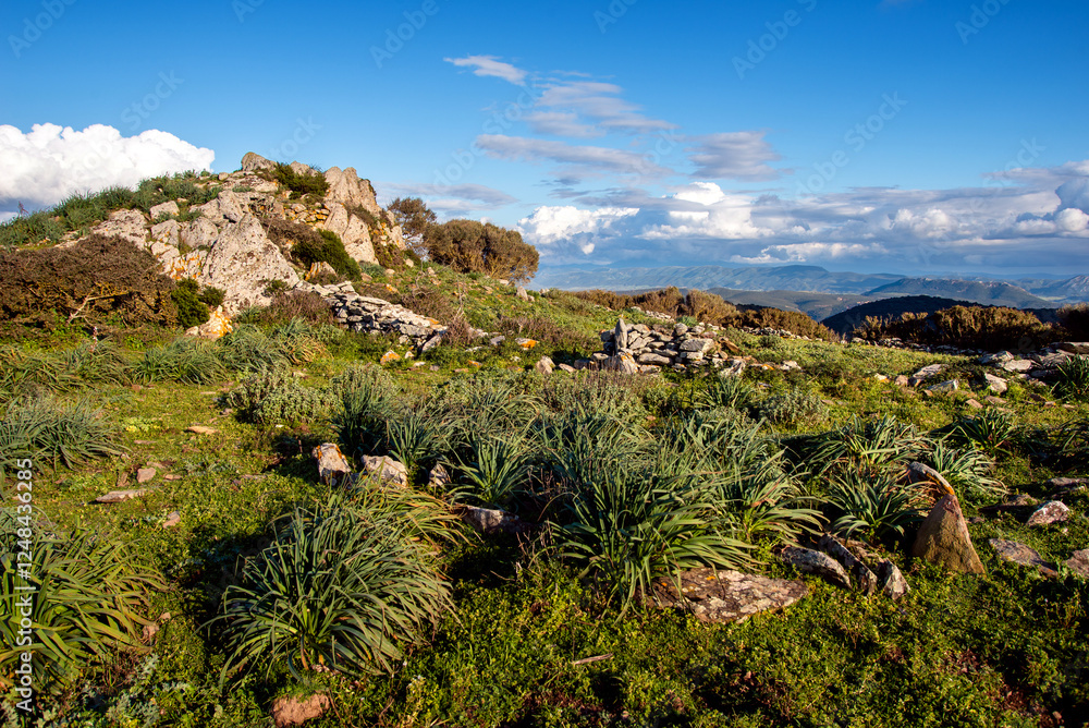 Naklejka premium Sardegna, paesaggio di campagna a primavera dalle parti di Iglesias, Italia, Europa Occidentale 
