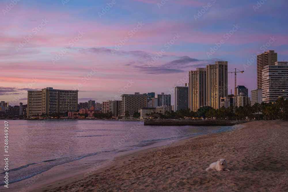 A serene beach at sunset with pastel skies, calm ocean waters, and the Honolulu skyline in the background. A white dog rests on the sandy shore. A serene beach at sunset with pastel skies, calm ocean waters, and the Honolulu skyline in the background. A white dog rests on the sandy shore.