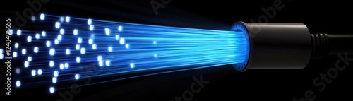 The Speed of Light with Fiber Optics